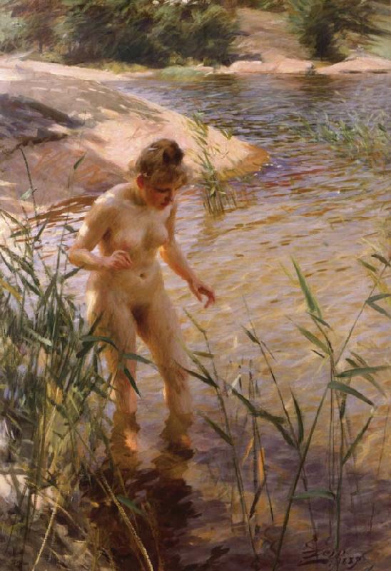 Anders Zorn Reflex china oil painting image